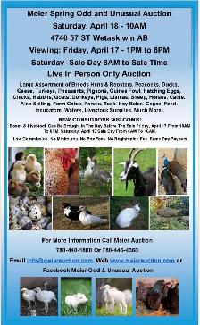 Meier Spring Odd & Unusual Livestock Auction Sat. April 18-10am