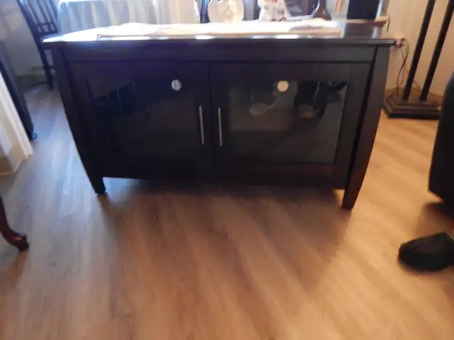 Long TV Cabinet for Lge. T.V. Used for Books & Booze