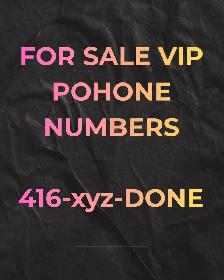 Your Perfect Connection Awaits: 416/647/905 Numbers for Sale!