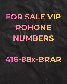 Stand Out with a Unique 416/647/905 /437/519/289 Phone Number