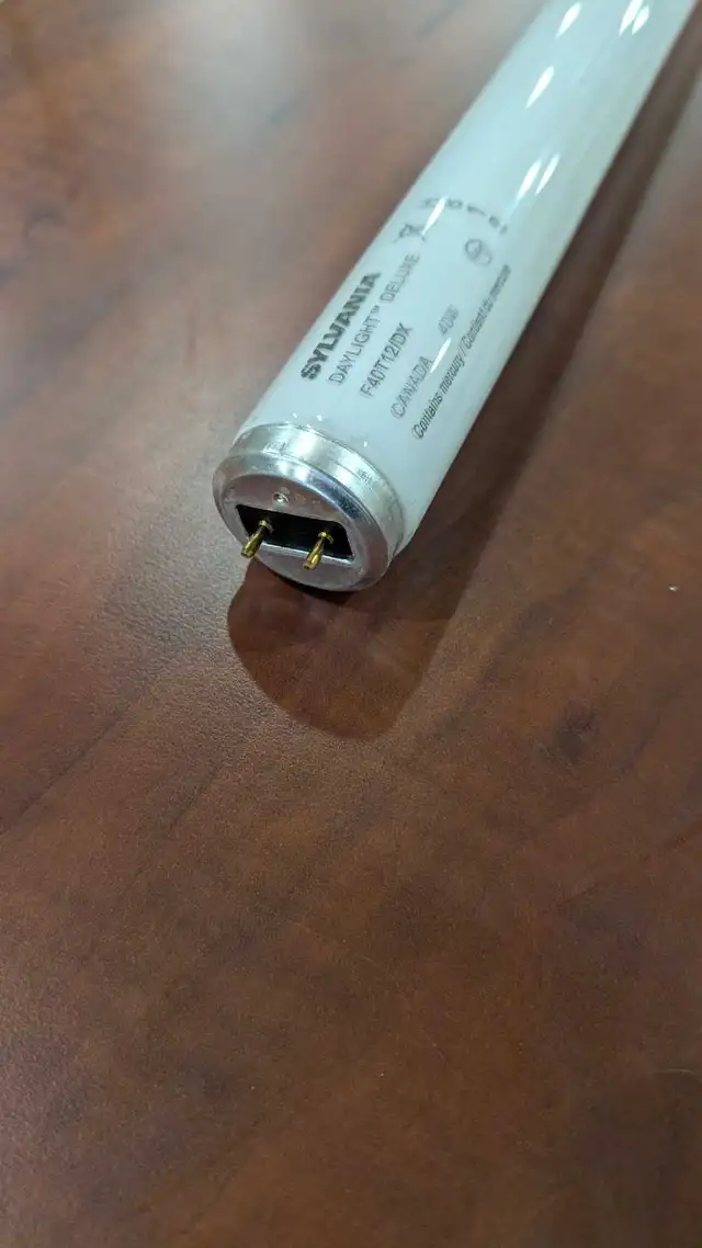 fluorescent bulbs - Photo 3