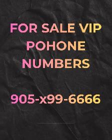 Your Success Starts Here: Grab a 416/647/905 /403 phone Number!