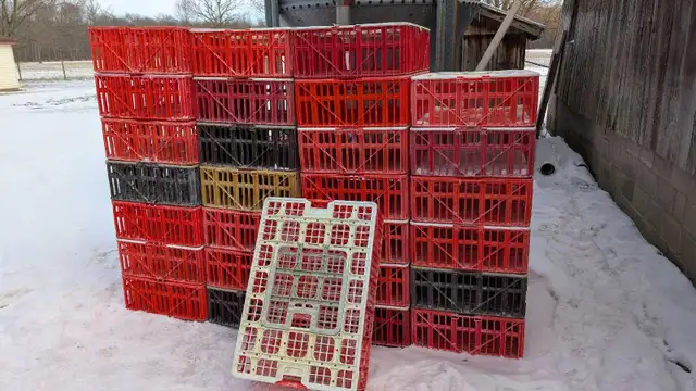 chicken crates
