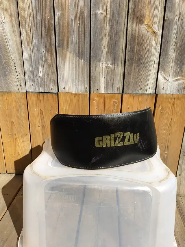 Grizzly Medium Lifting Belt