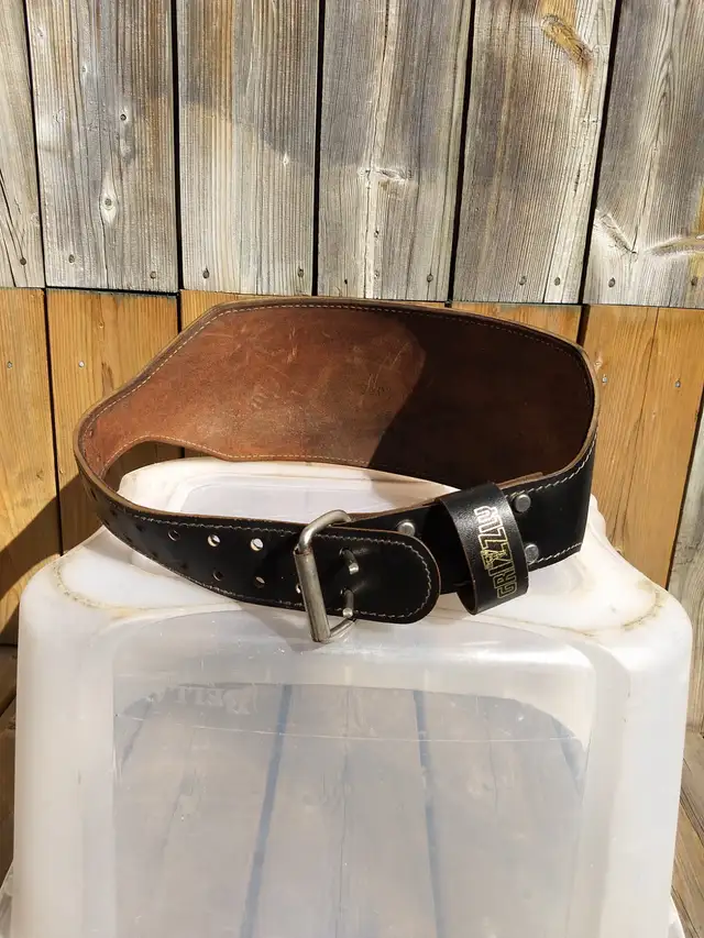 Grizzly Medium Lifting Belt - Photo 2