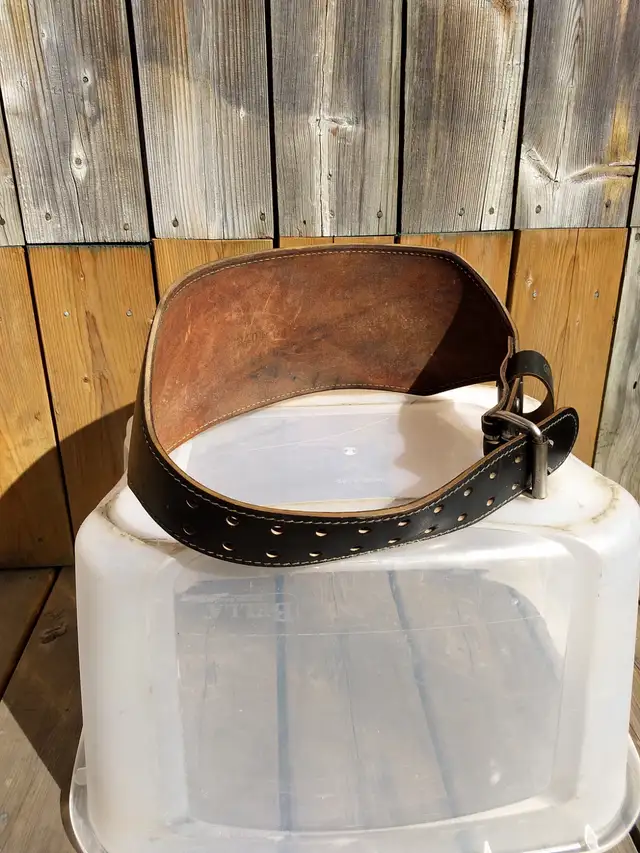 Grizzly Medium Lifting Belt - Photo 3