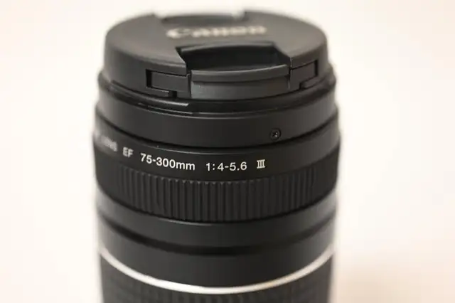 Canon Lens EF 75-300mm with box in good and working condition - Photo 3