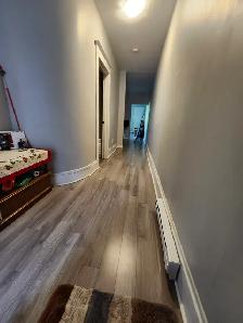 11B Harding - 2BR uptown, Yard, W/D - Photo 2