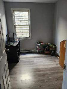 11B Harding - 2BR uptown, Yard, W/D - Photo 4