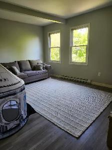 11B Harding - 2BR uptown, Yard, W/D - Photo 5