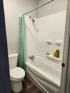 11B Harding - 2BR uptown, Yard, W/D - Photo 6