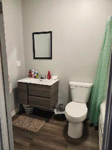 11B Harding - 2BR uptown, Yard, W/D - Photo 7