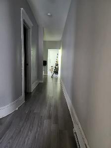 11B Harding - 2BR uptown, Yard, W/D - Photo 11