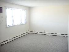 LARGE 1 BEDROOM - 3837 LUTHER PLACE (COLLEGE PARK) - Photo 3