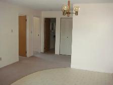 LARGE 1 BEDROOM - 3837 LUTHER PLACE (COLLEGE PARK) - Photo 4