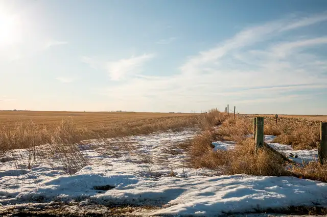 159.79 Acres | RM of Benson #35 | Near Estevan, SK - Photo 2