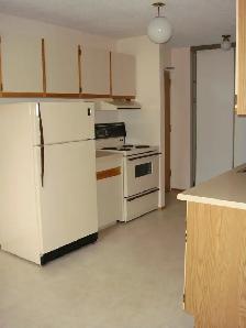 LARGE 1 BEDROOM - 712 HERITAGE LANE (LAKEWOOD) - Photo 2