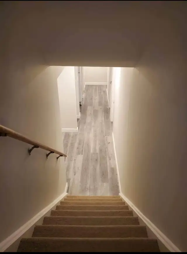 Two Bedroom Basement Apartment for Rent in Scarborough - Photo 3