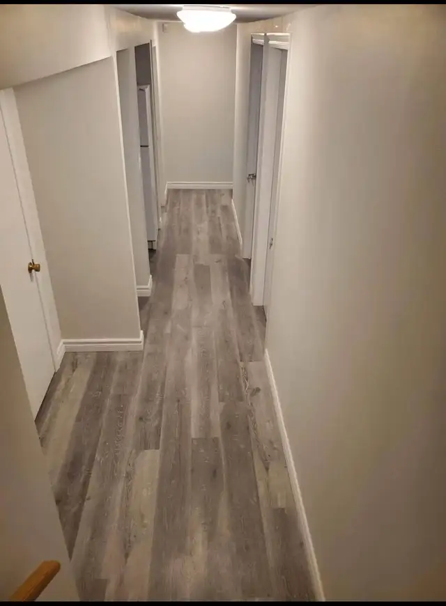 Two Bedroom Basement Apartment for Rent in Scarborough - Photo 4