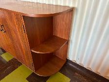 MCM Cabinet!  Inner City S.W. - Photo 2