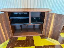 MCM Cabinet!  Inner City S.W. - Photo 3