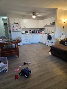 ✨ COZY • QUIET • PET-FRIENDLY ✨ - Photo 2