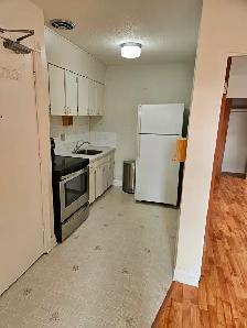 1 Bedroom apartment at 2107 7th Street East near Preston - Photo 2