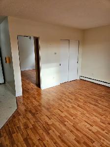 1 Bedroom apartment at 2107 7th Street East near Preston - Photo 5