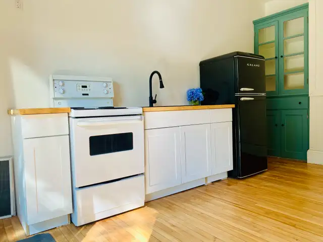 1Bdrm, All Utilities In   Huge Deck, Backyard & Parking! May 1st - Photo 5