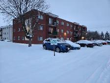 Modern 2-Bedroom Apartment for Rent in Kitchener!