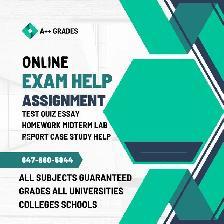 Online Course Help Assignment Help All Subjects Guaranteed Grade