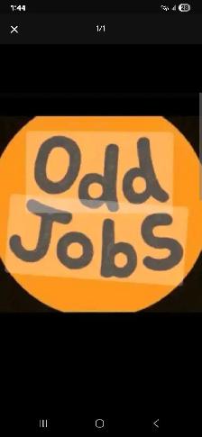 Seeking cash work as a General Labourer