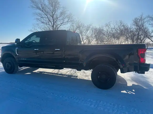 2019 Ford F-350 Super Duty Platinum - Photo 3