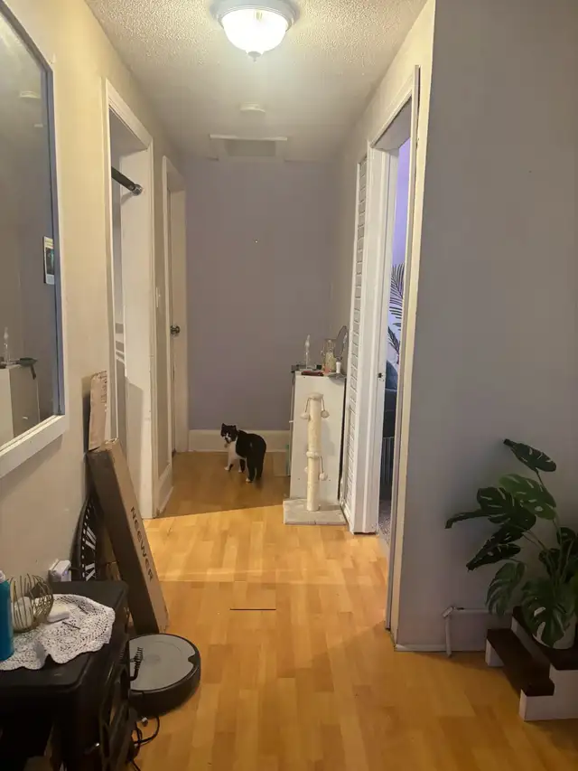 1 bedroom apartment for rent - Photo 5