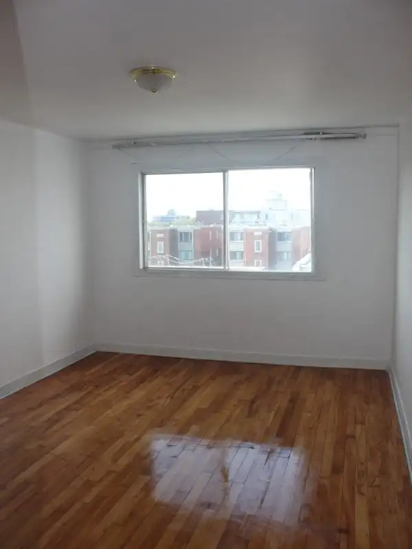 Lager 4 1/2 hardwood floors apartment In Lachine for Rent !! - Photo 2