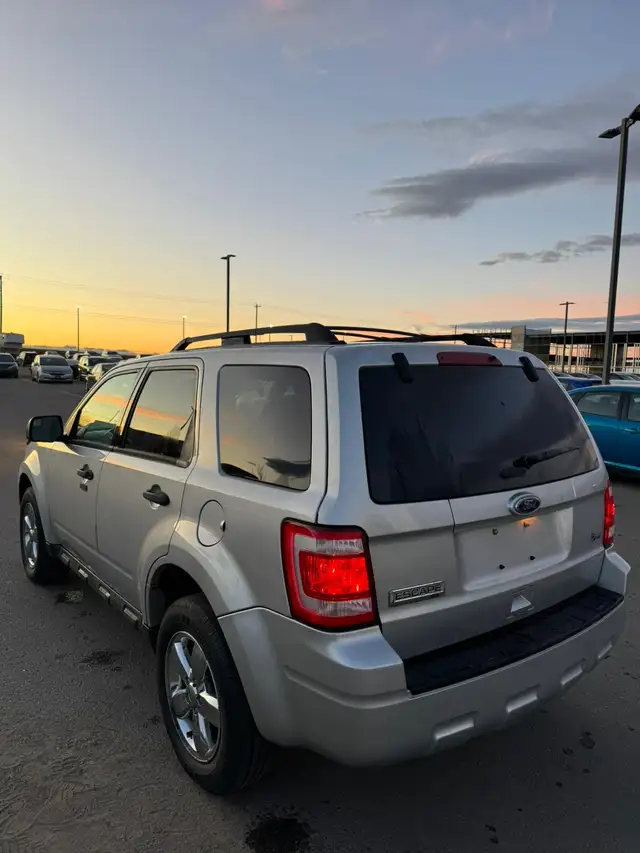 2011 Ford Escape XLT AWD V6 : Low Mileage - Photo 6