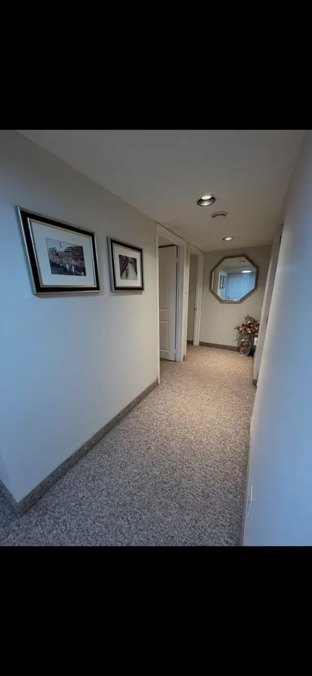 Two Bedroom Basement Apartment Oakville / Missisauaga - Photo 7