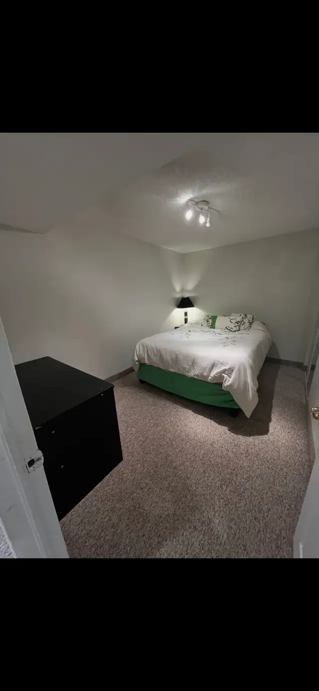 Two Bedroom Basement Apartment Oakville / Missisauaga - Photo 8