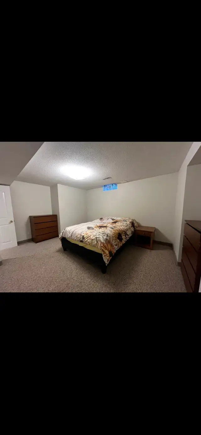 Two Bedroom Basement Apartment Oakville / Missisauaga - Photo 9