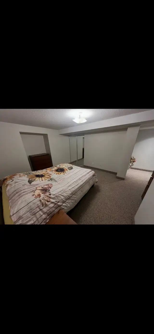 Two Bedroom Basement Apartment Oakville / Missisauaga - Photo 10