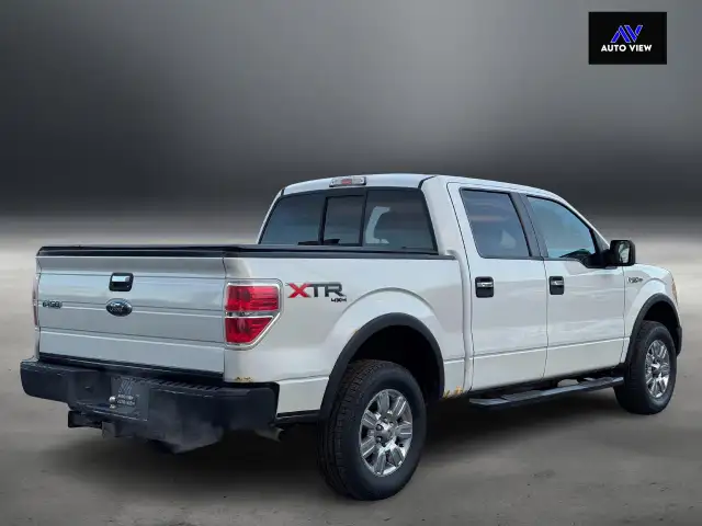 2010 Ford F-150 XLT SUPERCREW4X4 - Photo 6