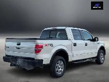 2010 Ford F-150 XLT SUPERCREW4X4 - Photo 6