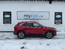 2024 Ford Escape Platinum - Photo 2