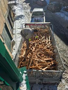 ramassage débris junk remove - Photo 3