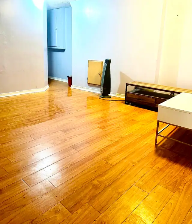 Bright 1 Bed Basement Apartment (Parking   Private Entrance) - Photo 5