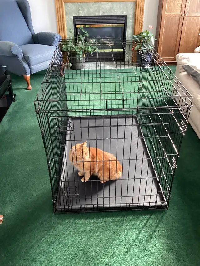 Pet Cage for dogs-cats