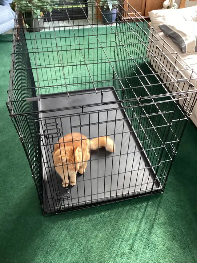 Pet Cage for dogs-cats - Photo 2