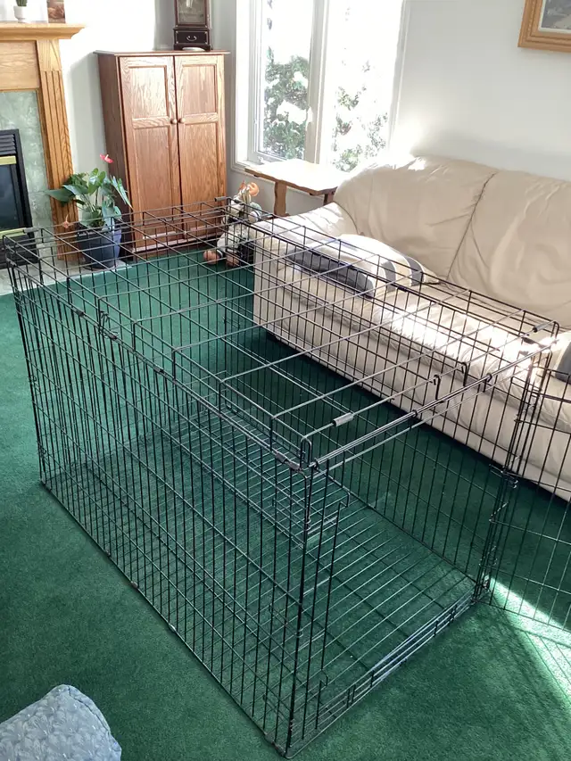 Pet Cage for dogs-cats - Photo 4