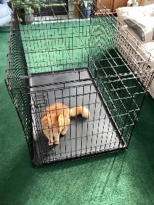 Pet Cage for dogs-cats - Photo 2