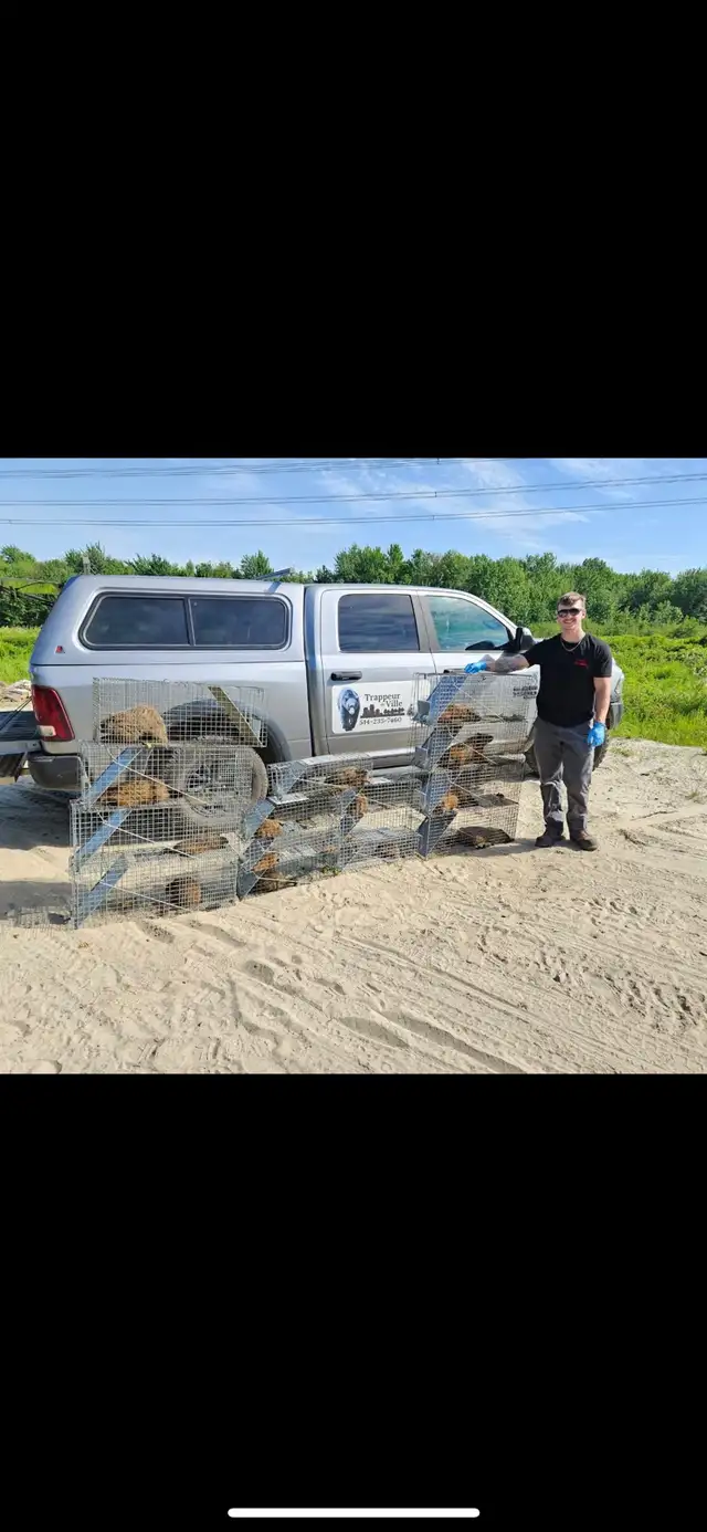 Trappeur de ville - Photo 2